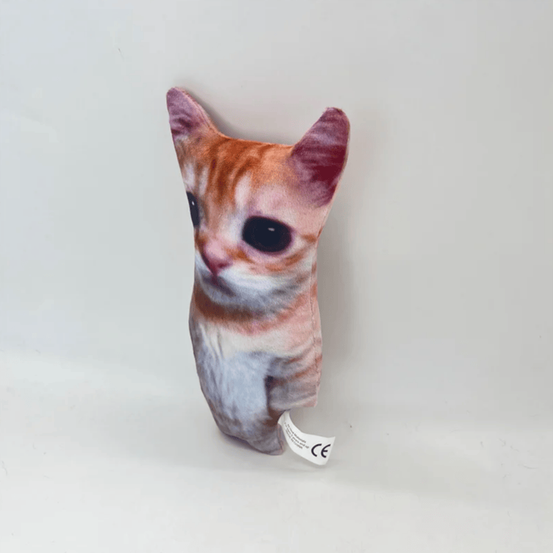 Peluche chat el gato  Image