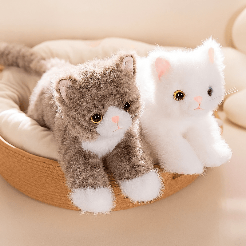 Deux grandes peluches de chats réaliste Image