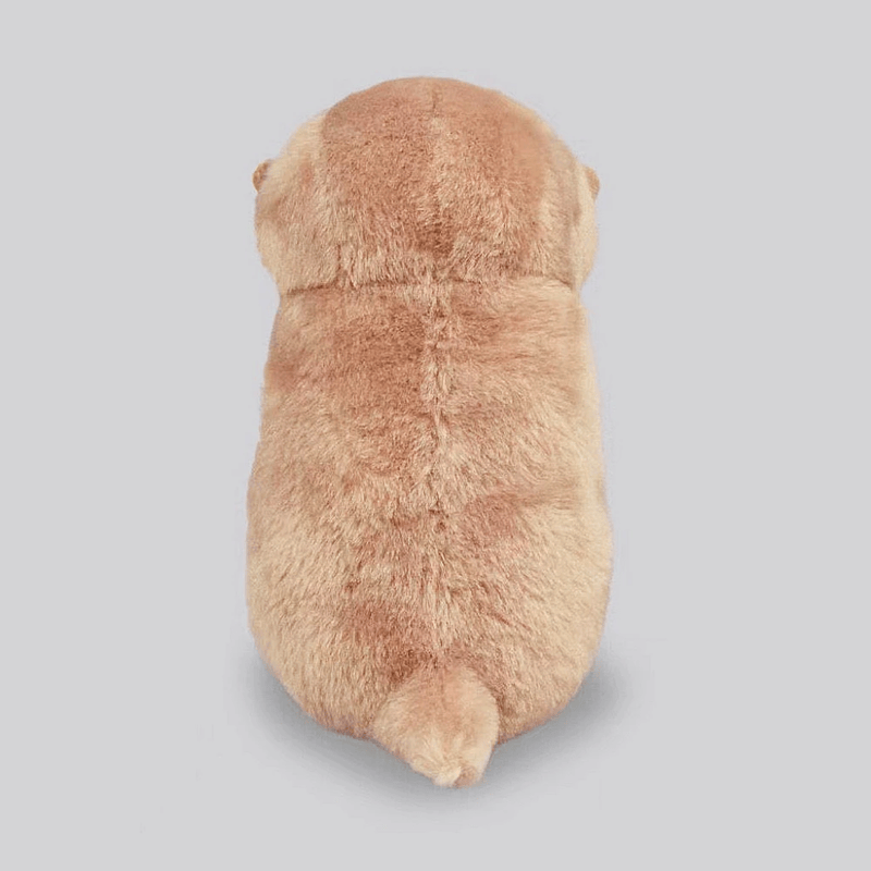 Mini peluche loutre avec son poisson de dos sur un fond gris