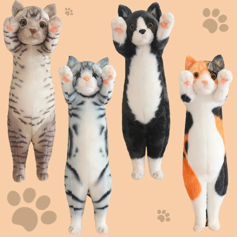 Quatre peluches chats debout sur un fond beige