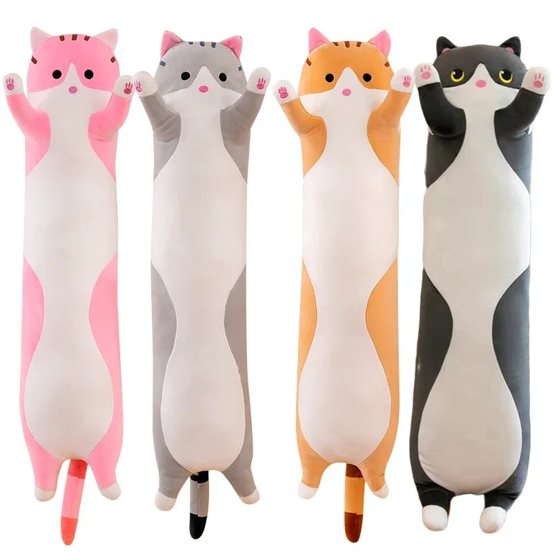 Quatre peluches chats longs sur fond blanc