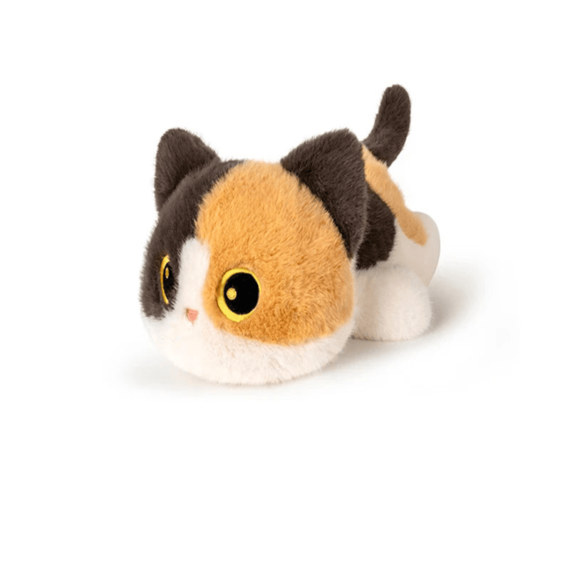 Peluche chat mignon calico sur fond blanc Image
