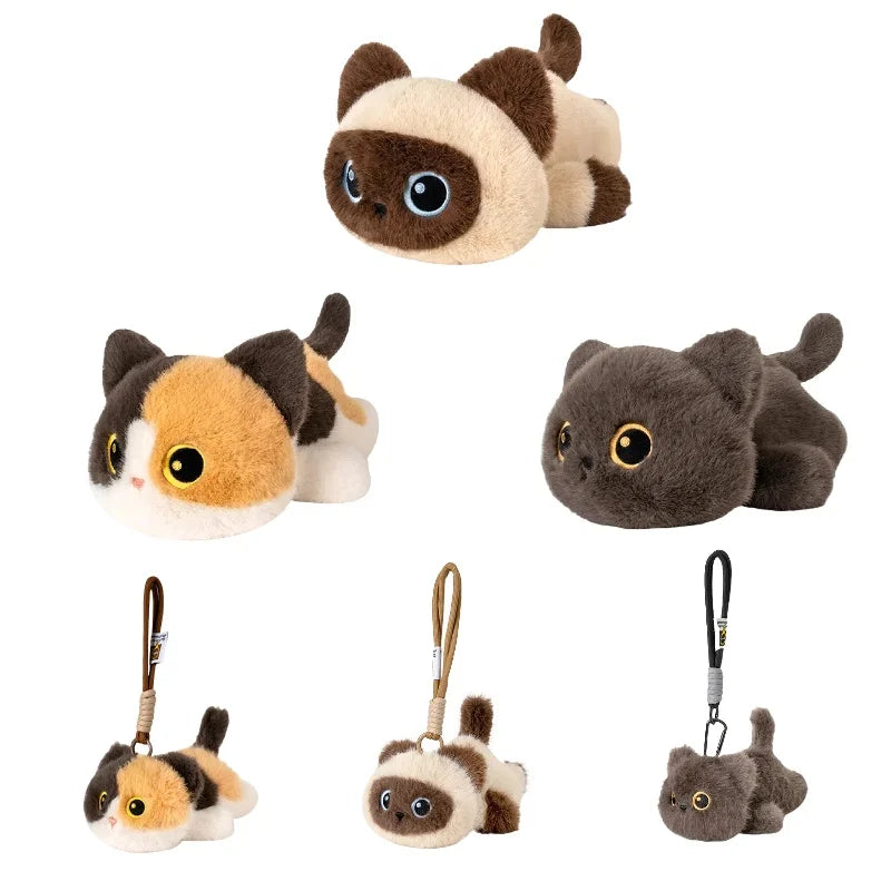 Six peluches chats mignons sur fond blanc Image