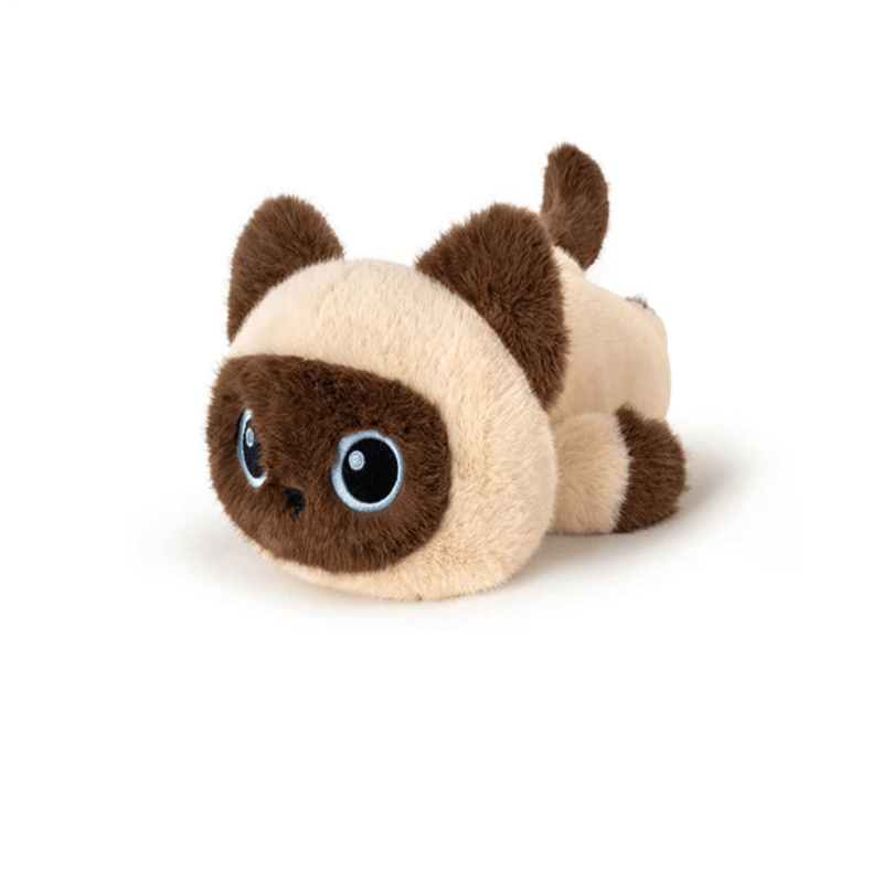 Peluche chat mignon siamois sur fond blanc
