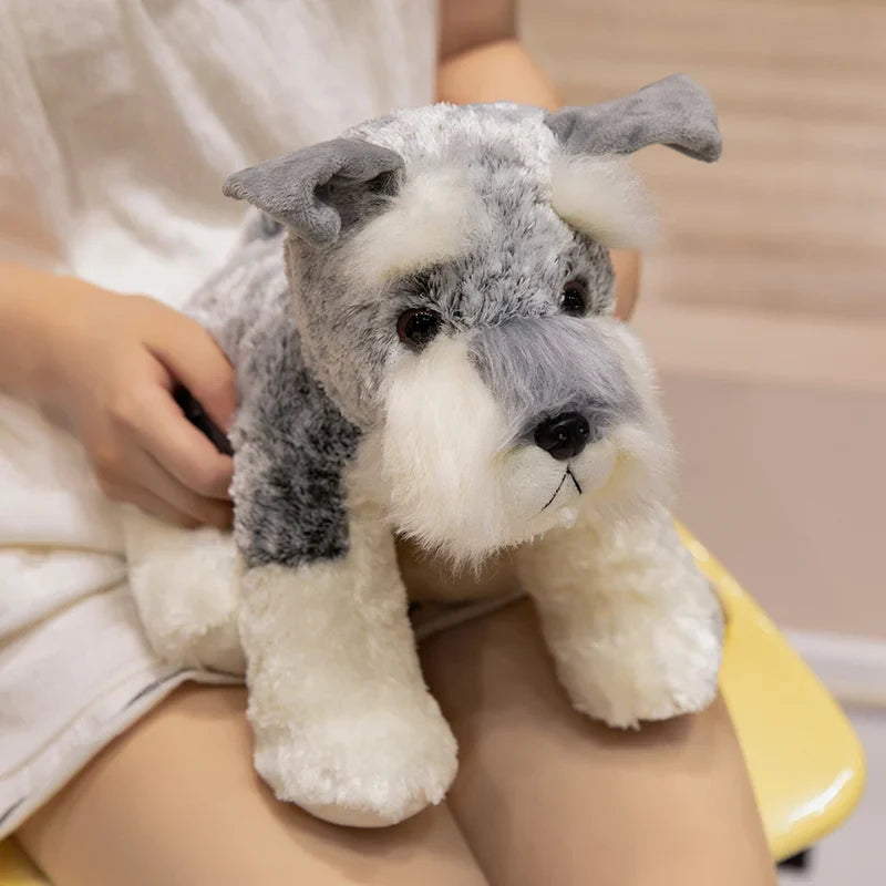 Peluche chien Schnauzer sur les cuisses d'une fille Image