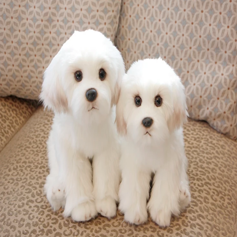 Deux peluches chiens bichons sur un canapé Image