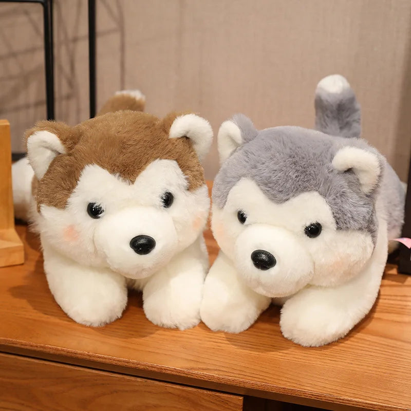 Deux peluches chiens Husky sur un meuble