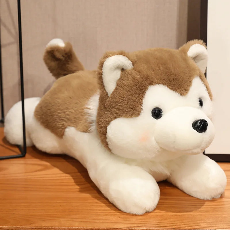 peluche chien Husky marron sur un meuble