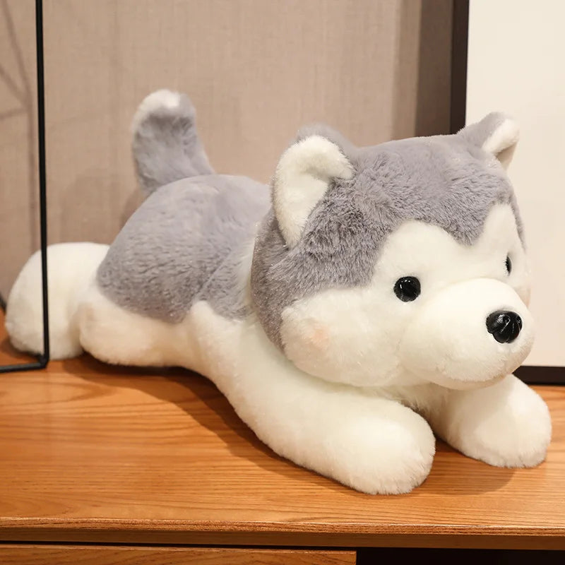 peluche chien Husky grise sur un meuble