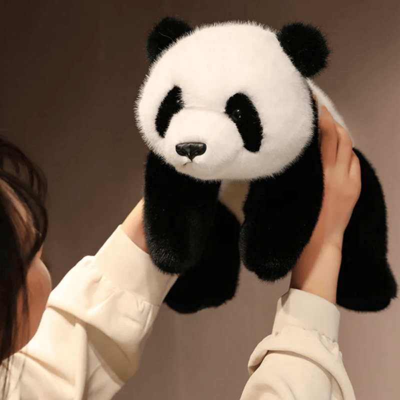 Peluche panda kawaii dans les mains d'une fille Image