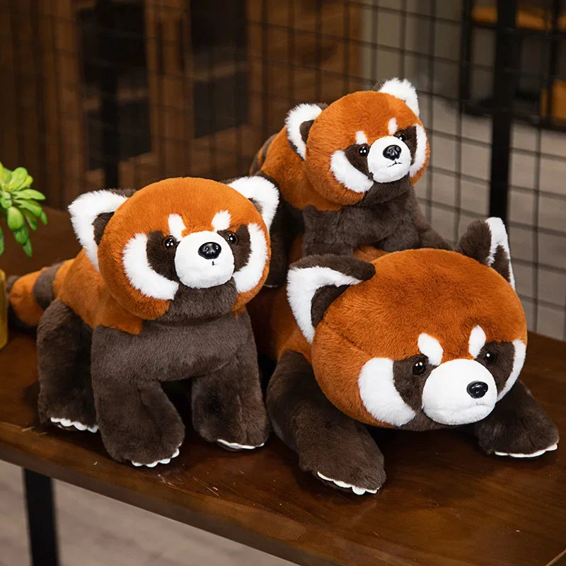 Trois peluches debout de panda roux sur une table Image