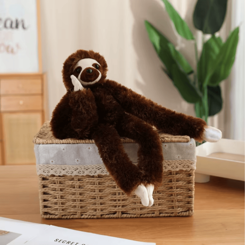 Peluche paresseux brun posé sur un panier en osier Image