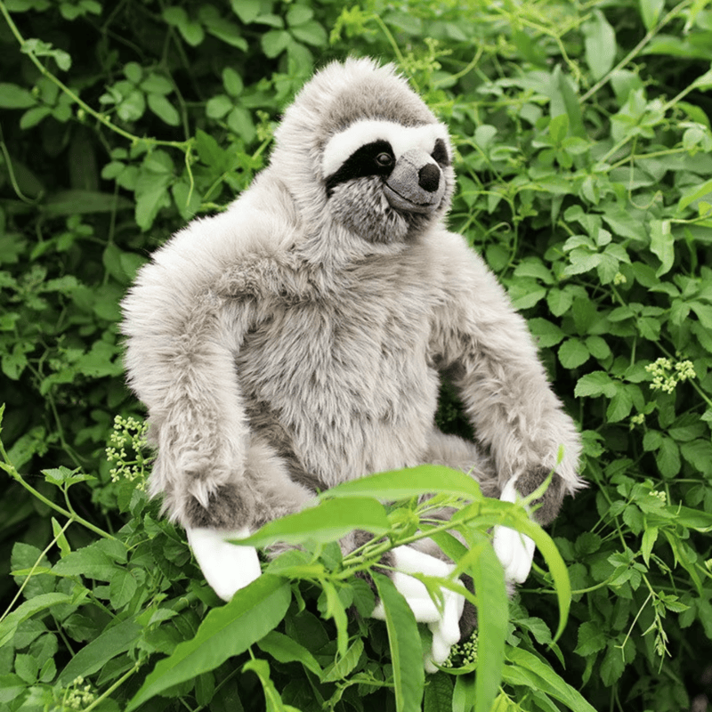 Peluche paresseux réaliste dans un arbre Image