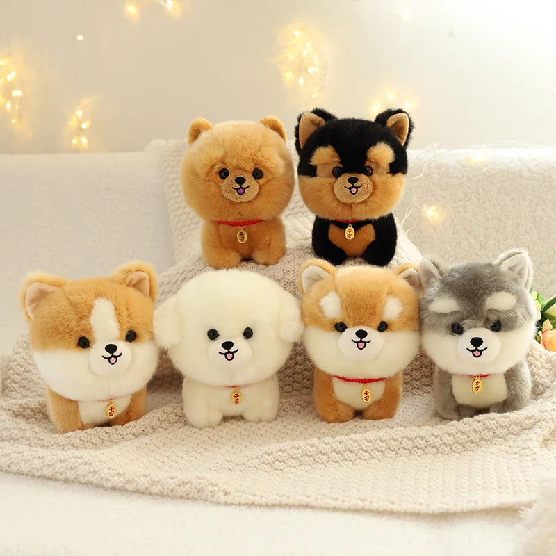 Les six petits chiens de race sur un tapis 
