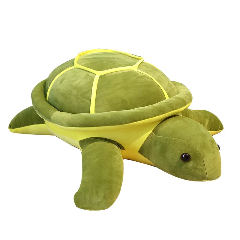 Peluche tortue kawaii sur fond blanc