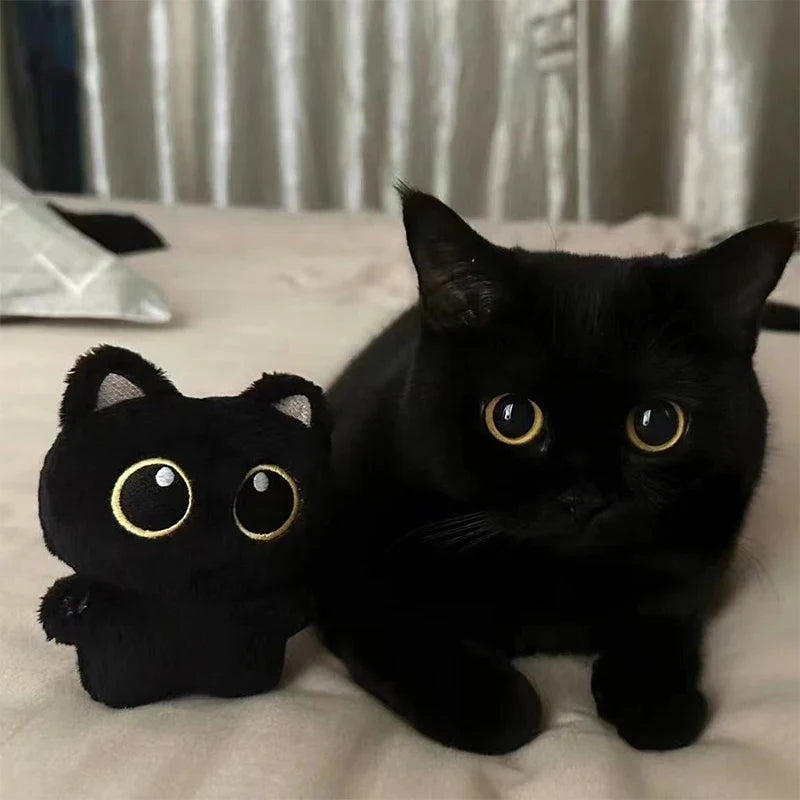 Petit chat noir en peluche à coter d'un chat noir