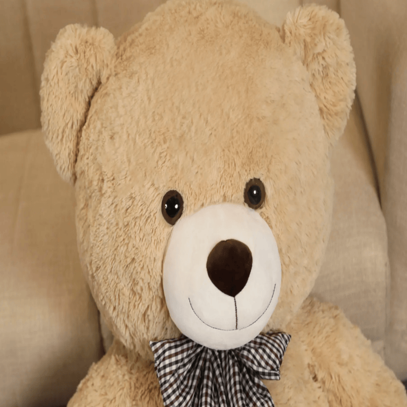Zoom sur la tête de l'ours beige en peluche avec son noeud papillon sur un canapé