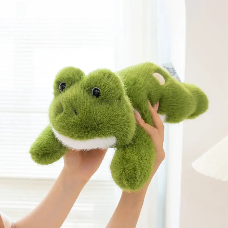 peluche grenouille oreiller dans les mains d'une femme  Image